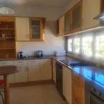 Ferias Na Apartman *